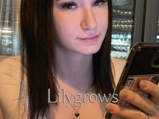 Lilygrows