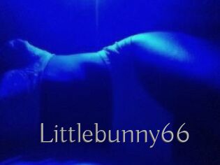 Littlebunny66