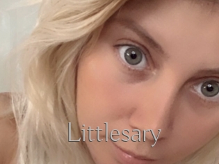 Littlesary