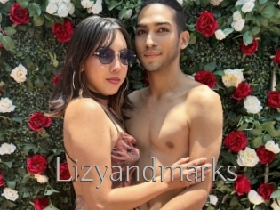 Lizyandmarks