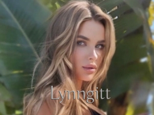 Lynngitt