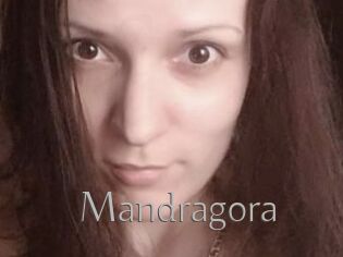 Mandragora