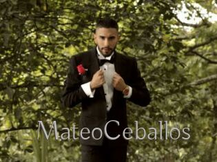 MateoCeballos