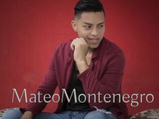 MateoMontenegro