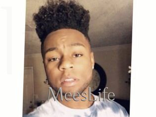 MeesLife