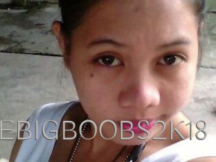 MissHOTTIE_BIGBOOBS2K18