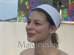 Malvinesley
