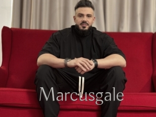 Marcusgale