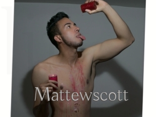 mattewscott Live Fick