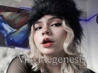 Maxinegenesis