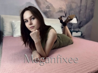 Meganfixee