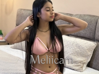 Meliicam