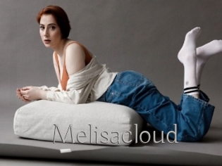 Melisacloud