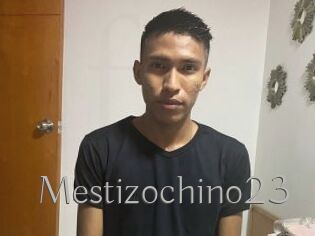 Mestizochino23