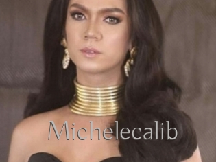 Michelecalib