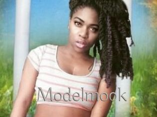 Modelmook