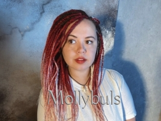 Mollybuls