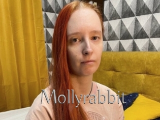 Mollyrabbit