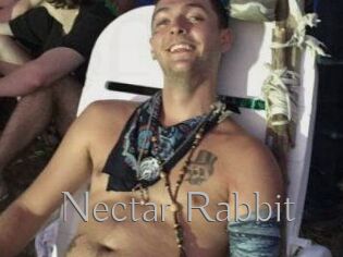 Nectar_Rabbit