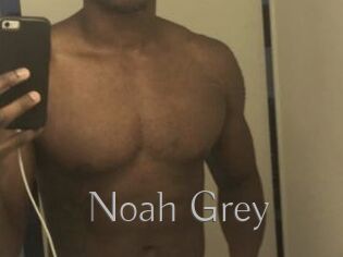 Noah_Grey