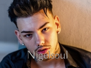 Nigelsoul