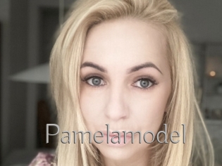 Pamelamodel