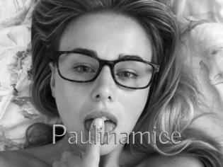 Paulinamice