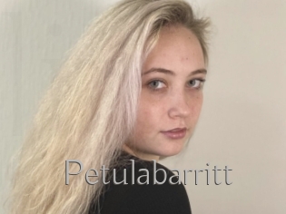 Petulabarritt