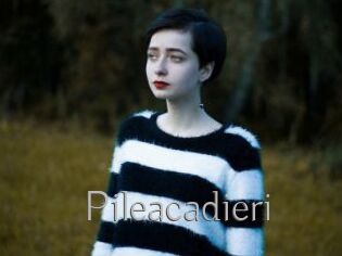 Pileacadieri