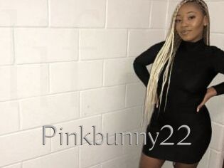Pinkbunny22