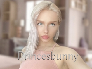 Princesbunny