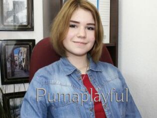 Pumaplayful