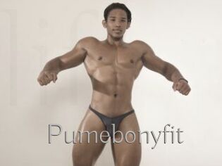 Pumebonyfit