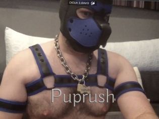 Puprush