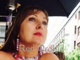 Red_Orchid