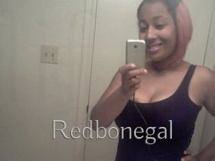 Redbonegal