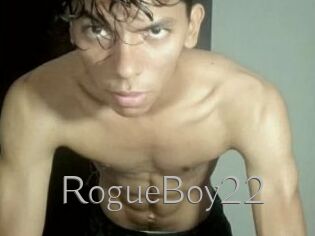 RogueBoy22