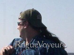 RogueVoyeur