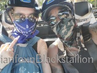 RussianfoxnBlackstallion