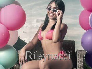 Rileynacci