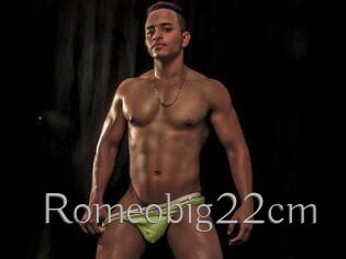 Romeobig22cm