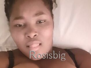 Rosisbig
