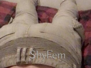 ShyFem