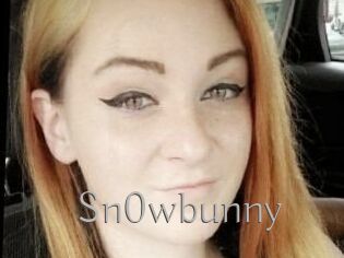 Sn0wbunny