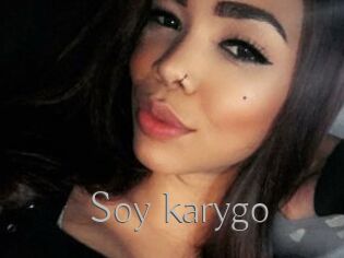 Soy_karygo