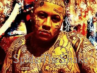 SpiderTheSnake
