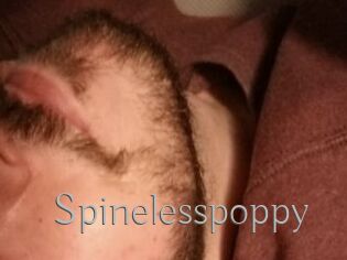 Spinelesspoppy