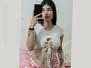 Sashagate