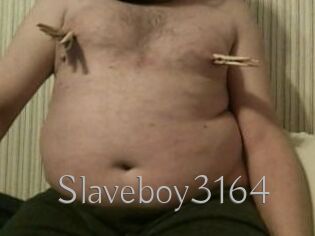 Slaveboy3164