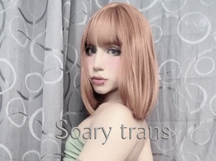 Soary_trans